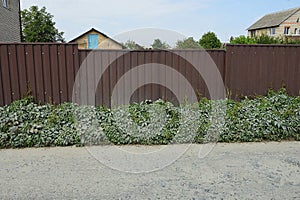 Brown metal gate and fence wall on the street