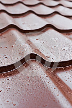 Brown metal roof tiles