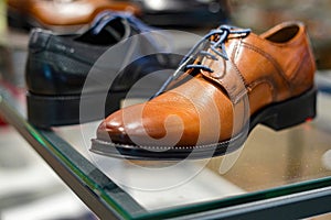 Brown model shoes on the shop window for sale