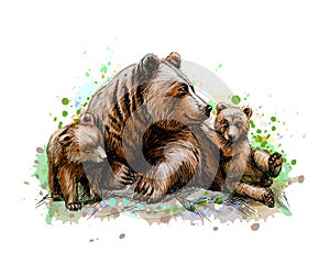 Brown mother bear with her cubs from a splash of watercolor