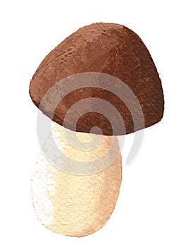 Brown mushroom