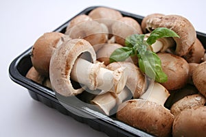 Brown mushrooms