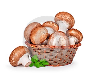 Brown mushrooms in a basket isolated white background