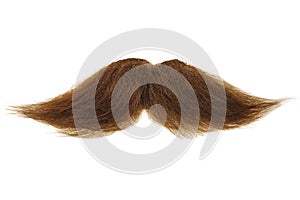 Brown mustache isolated on white photo