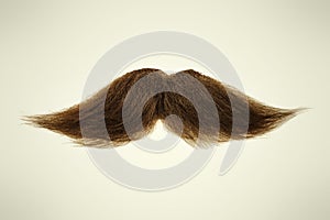 Brown mustache on a sepia background