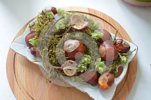 Brown natural chestnuts on a plate lie on green moss. chestnut plants