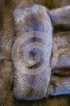 Brown natural fur of mink coat