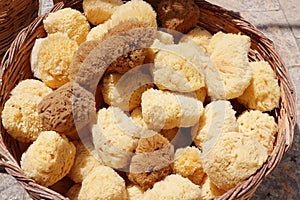 Brown natural greek sea sponge