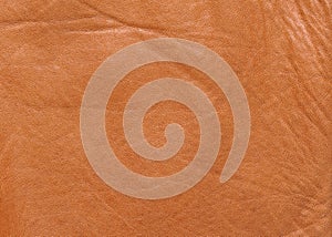 Brown natural Leather texture