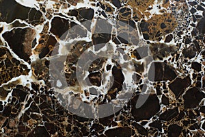 Brown natural stone with white veins marble called Emperador Gold photo