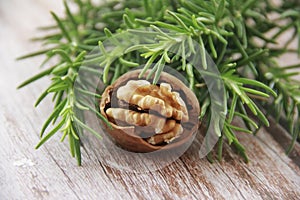 Brown natural walnut in a hard shell