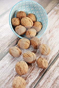 Brown natural walnut in a hard shell