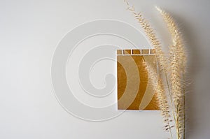 Note pad and drylands