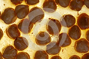 Brown nougat or nougatine