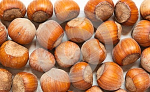 Brown nuts with shell background .