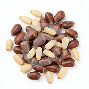 Brown and Off-White Pine Nuts on White Background