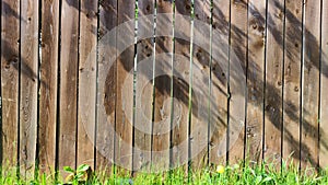 brown old fence and shade from tree branches with leaves from the sun during the day. Background, natural texture