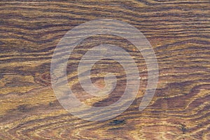 The brown old wood texture abstract background.