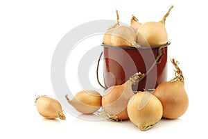 Brown onions in an vintage enamel cooking pot