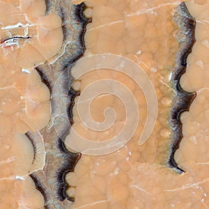 Brown onyx stone slab surface. Seamless square background, tile ready.