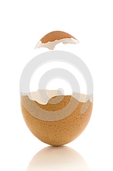 Brown open egg with hat