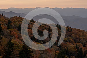 Brown and Orange Leaves on Trees Below the Blue Ridge Mountains