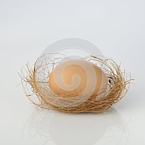 Brown Organic Egg With Nest Isolated on White Background Shot in Studio