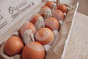 Brown Organic Eggs in Carton - side view