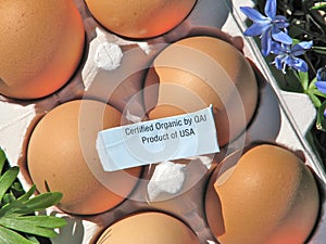 Brown organic eggs in used paper egg carton with certified organic label.