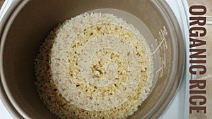 Brown organic rice in pot cook