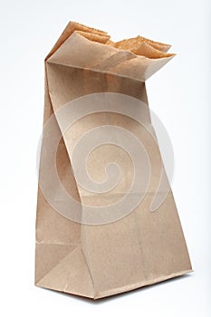 Brown paper bag (angle view)