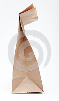 Brown paper bag (side view)