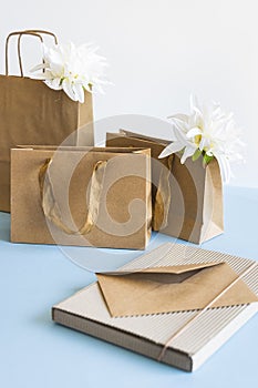 Brown paper bags and envelope