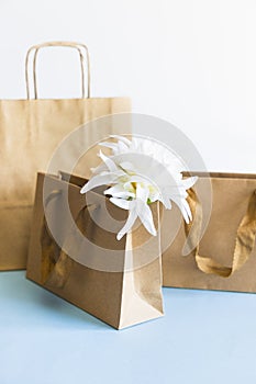 Brown paper bags and envelope.