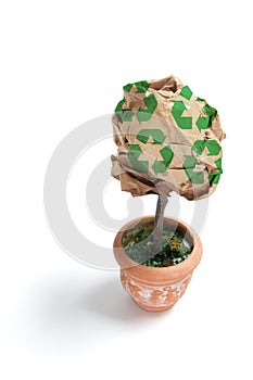 Brown Paper Ball Potplant