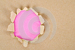 Brown Paper explosion on pink background.