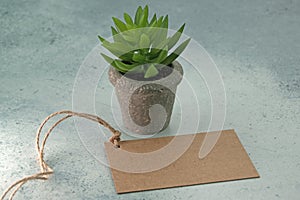 Brown paper label on string