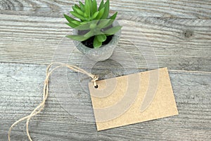 Brown paper label on string