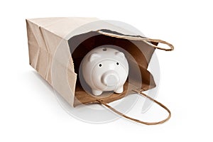 Brown paper shopping bag and Piggy Bank