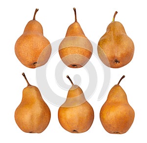 Brown pear
