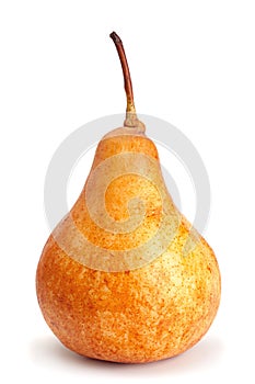 Brown pear fruit