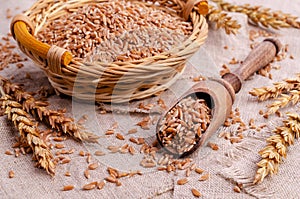 Brown peeled wheat grits on a textile background