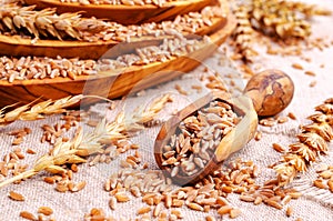 Brown peeled wheat grits on a textile background