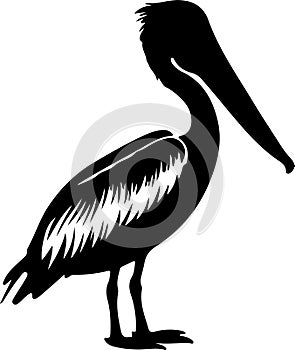 brown pelican Black Silhouette Generative Ai