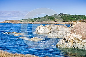 Brown Pelicans resting on a rock, Point Lobos State Natural Reserve