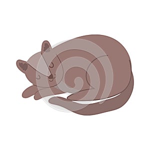 Brown pet cat feline sleeping character isolated icon design