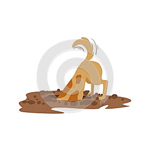 Brown Pet Dog Digging The Dirt In The Garden, Animal Emotion Cartoon Illustration photo