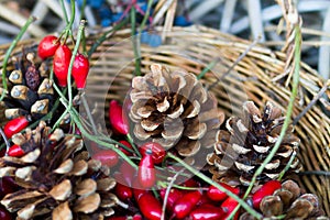 Brown pine cones and rosehips