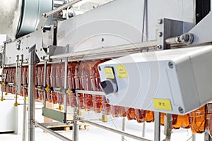 Brown plastic bottles for beer go on conveyor belt