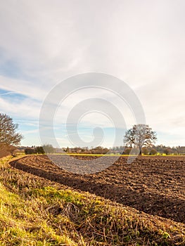 brown ploughed agricultural field outside farm landscape sky ground dirt tree